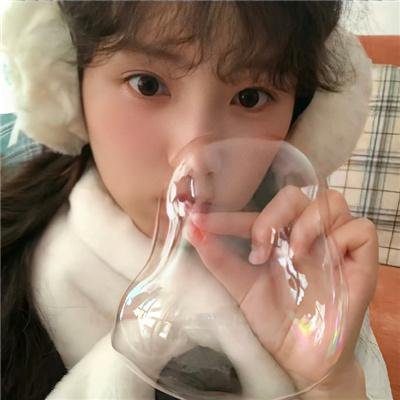 开放日